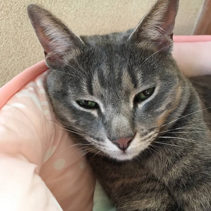 99b7532b 7623 4cd8 94ef f5dcfe7c4f17