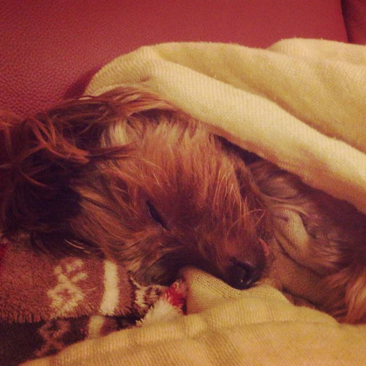 99b767bf bce4 4ee1 a374 21ec73aa3cfe