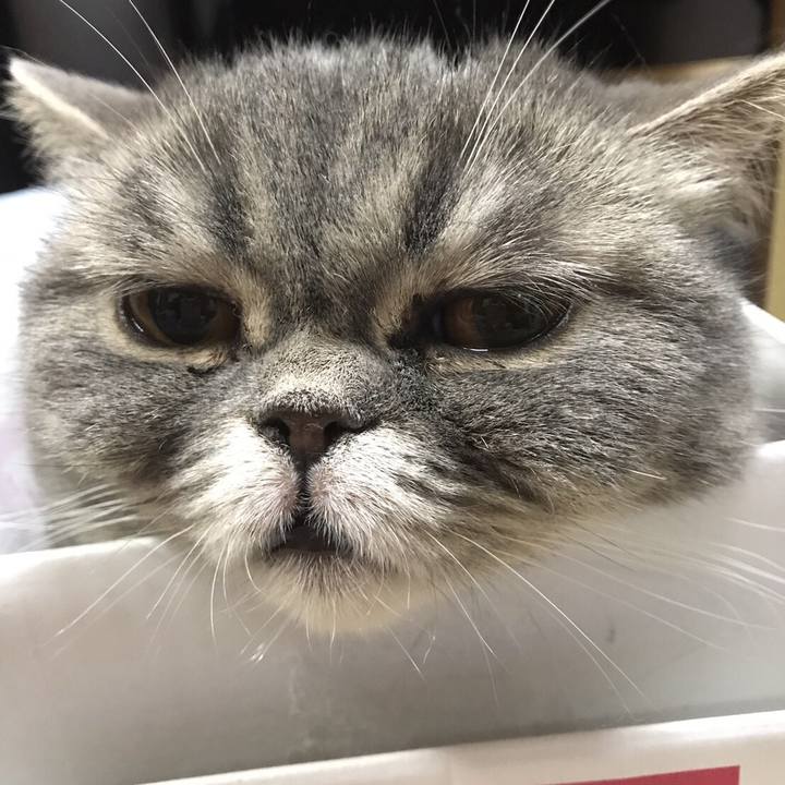 99b77776 67b6 4d89 b015 9308da3b60e5