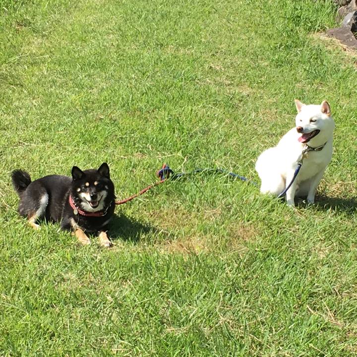 99b79e6a e270 4017 9d9e a43feaa69551