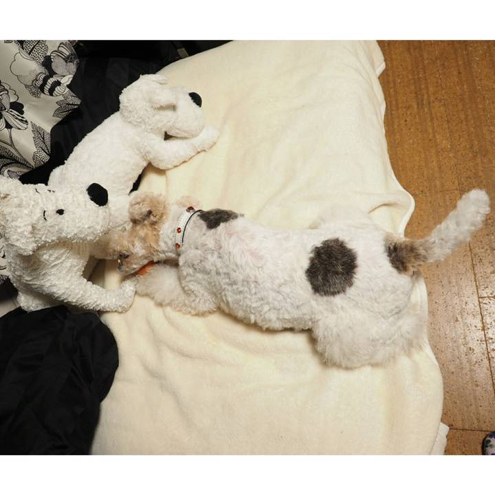 99b7d269 ae85 4137 97d5 d14bd99caeff