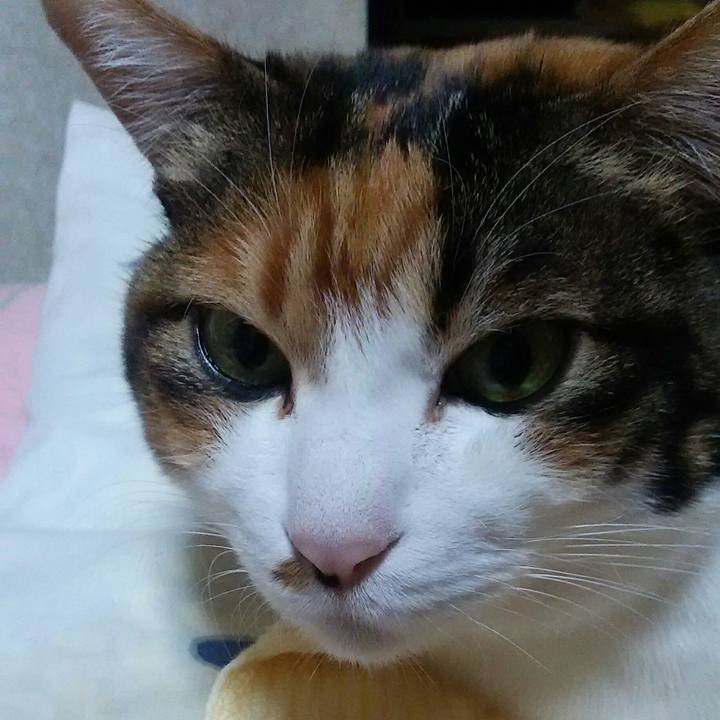 99b8861e 995e 4aae ae29 3907bdfb3190