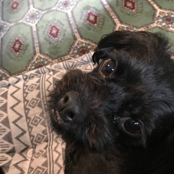 99b92490 0d50 4c1d ab27 6b8b5e70a66f