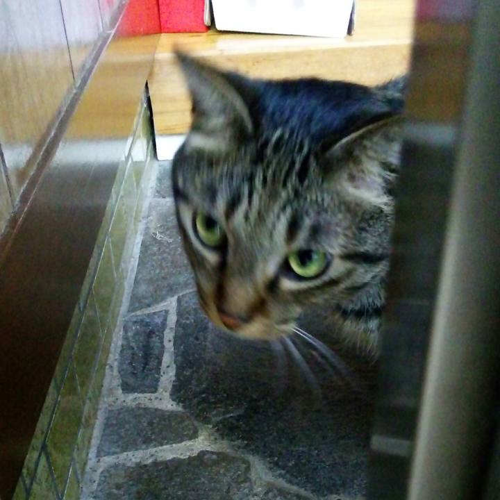 99b92c59 9170 4373 b179 e0cb2f460ecb