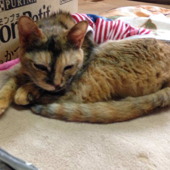 99b9b6c3 35db 4fcb b73f 603c8d36e1d3