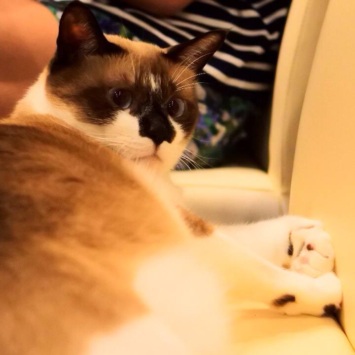 99ba79af 1538 4fd4 a3ad 6b803eb9a54f