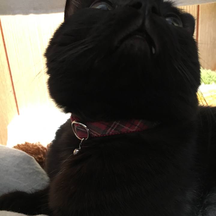 99bacfb3 5ce9 4d62 aa4e 8199dfb1d382