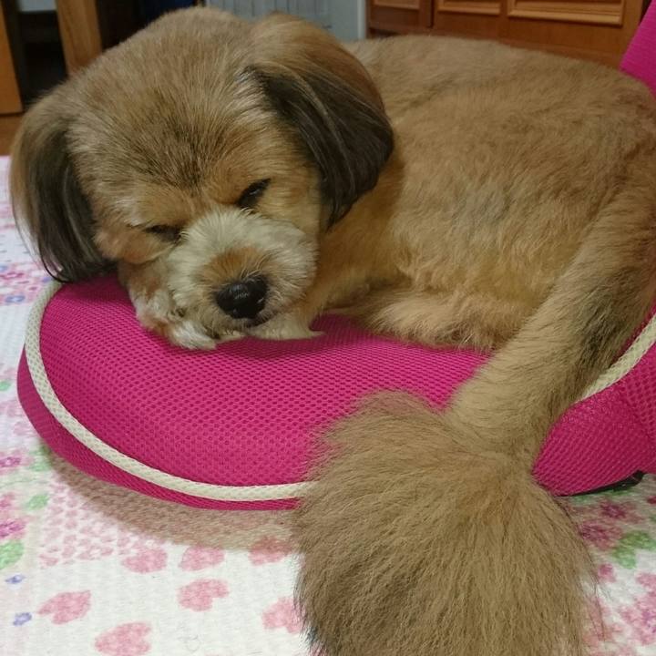 99bad49f f1dc 4cf3 8830 5164309f6773