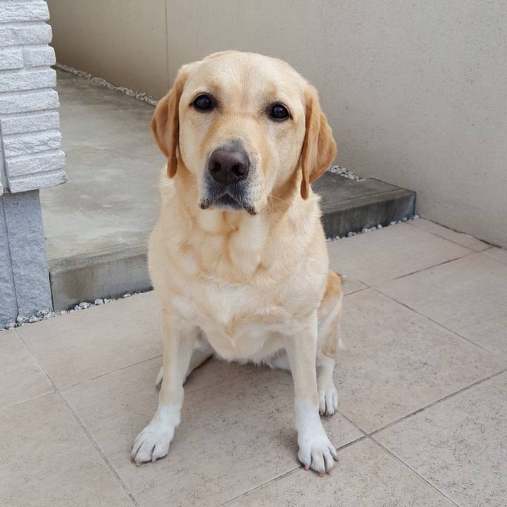 99bae027 5ba0 4b94 96f3 f1620a79fa48