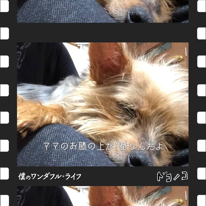 99bb7dcd afc0 4658 a5b8 dc1355147905