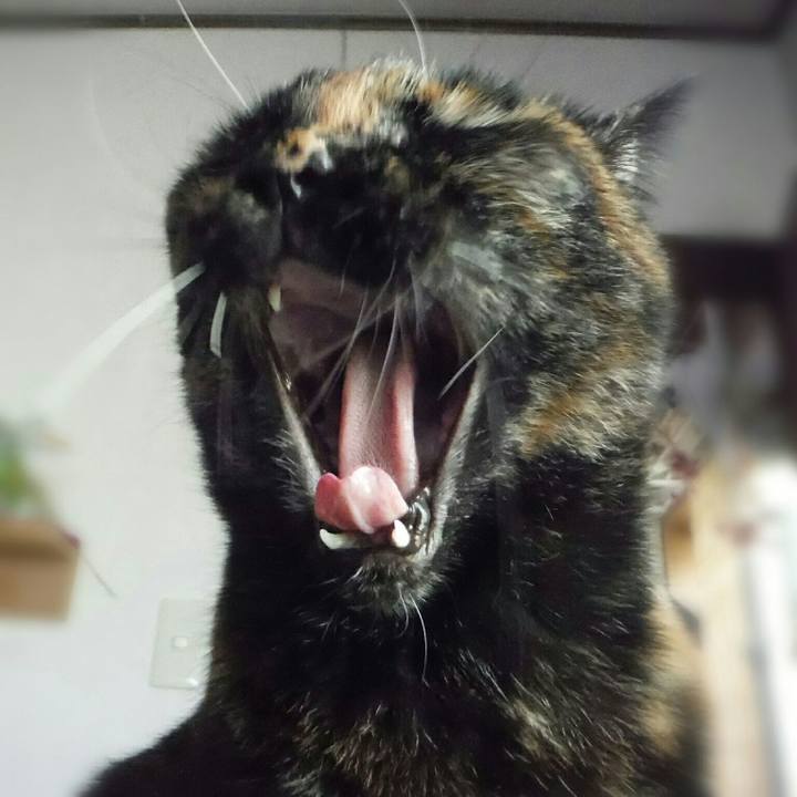 99bd37ed 9aec 47d5 a7d8 3d5668414ff3