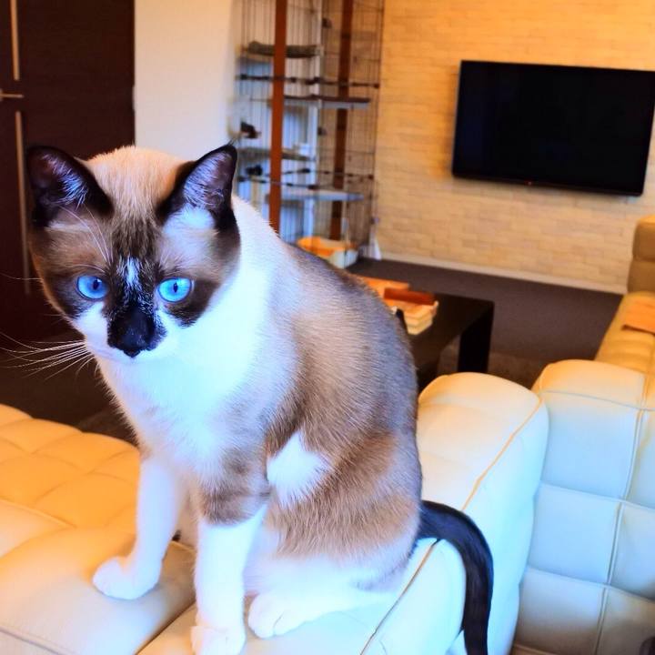 99bd68fa 8f4c 4825 b164 16813b822ef1