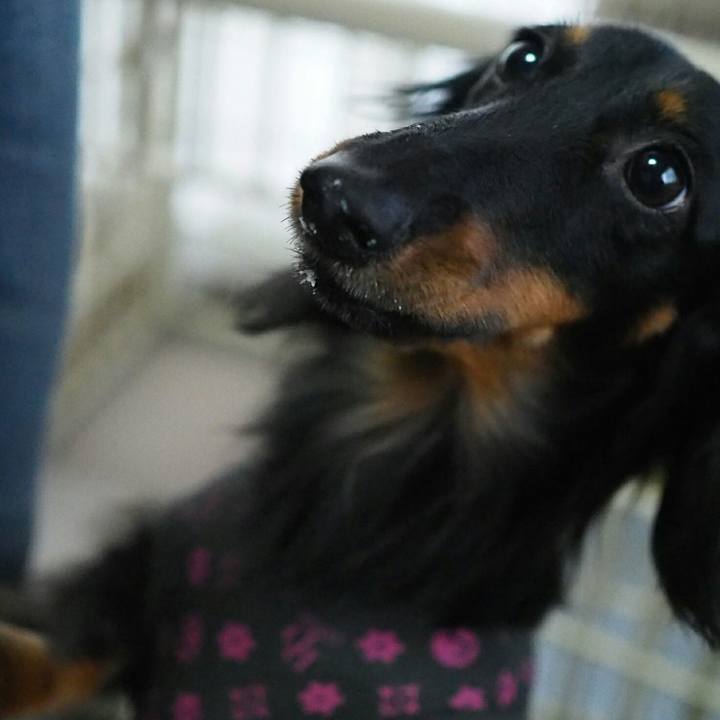 99bde4ef 9644 410f bfaf 80df27974282