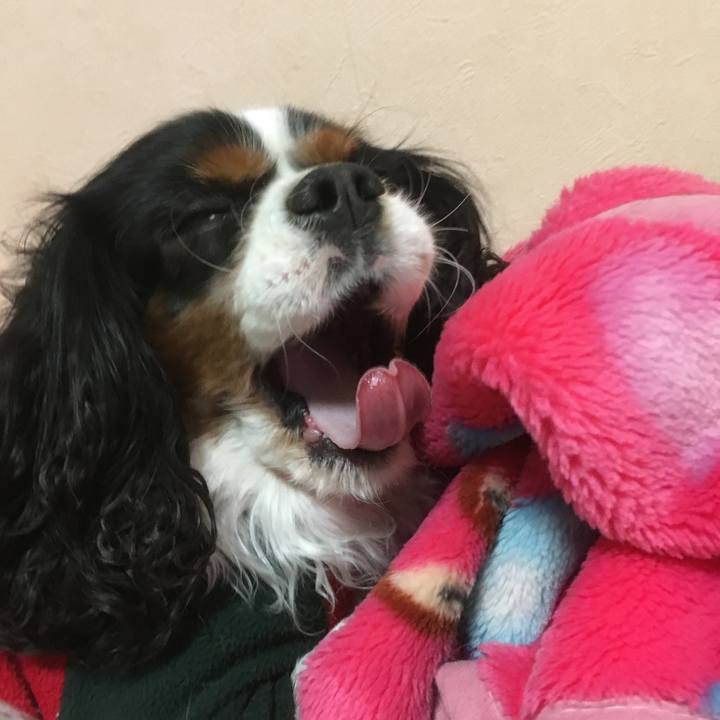 99be2bb3 cee4 4edc 81a2 116be5b6f133