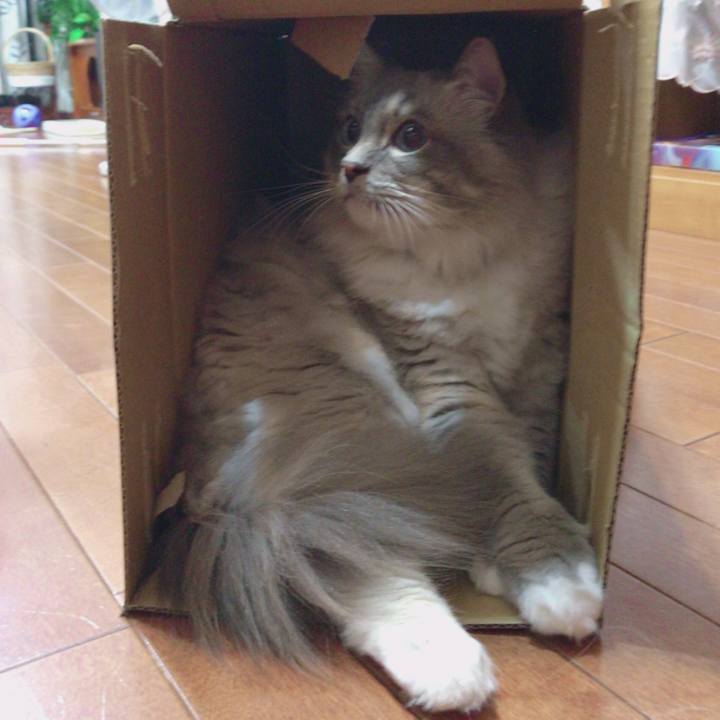 99bed45d 5f39 4aa6 9dfb e12dafe8ac4c