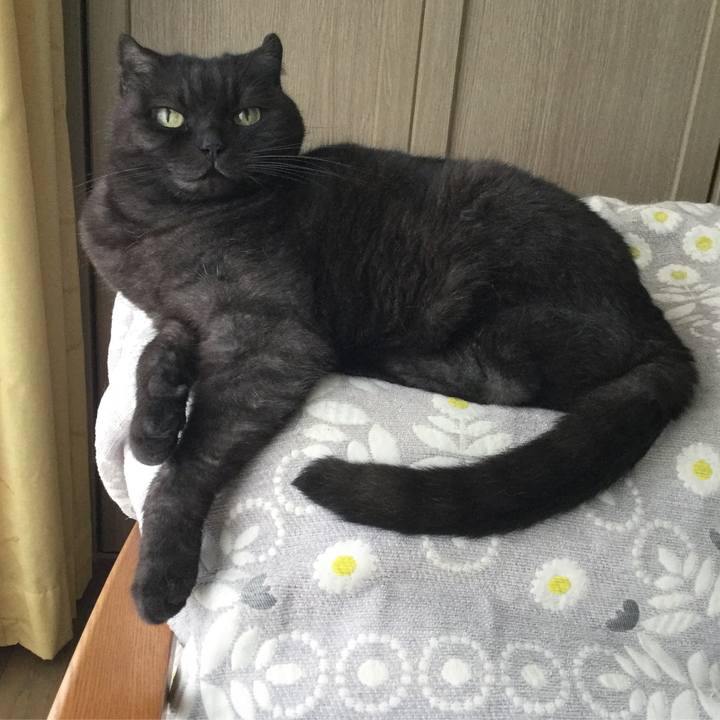 99bee208 d404 4922 9c2c a1504e494c6a