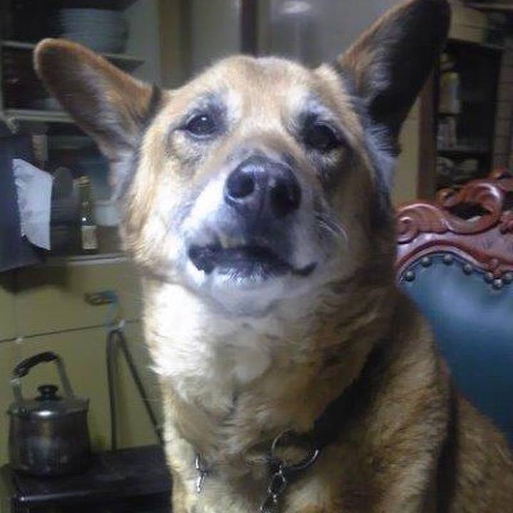 99bf24af 78ef 49a4 aa33 f93e3bdf7f0d