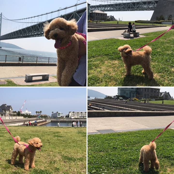 99c007e1 c921 4788 81d0 712cdd5a96c8