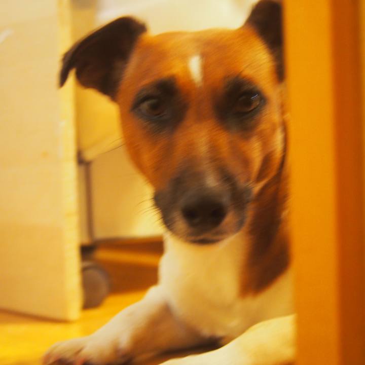 99c0726c 6a73 4484 bb2e 9d91413b7554