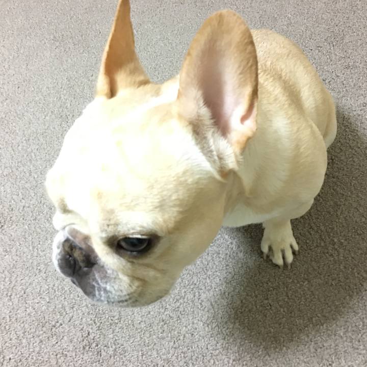 99c11b0e 7847 4918 81a3 83b57688527d