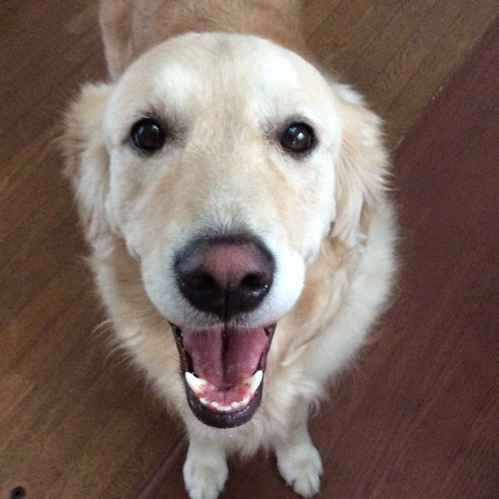 99c11ba2 29b0 4637 9ab1 7892225c04ac