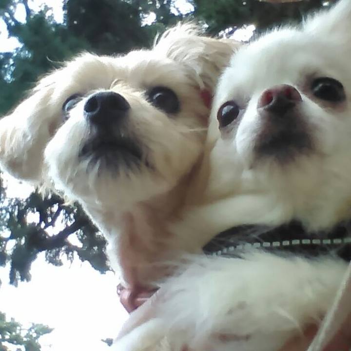 99c158ed 0283 4318 a05d 3366d0dbb873