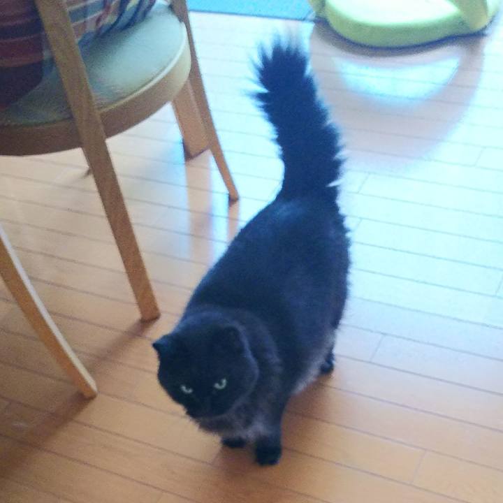 99c23006 3fc6 4d9f 873d 45ab8a2736a5