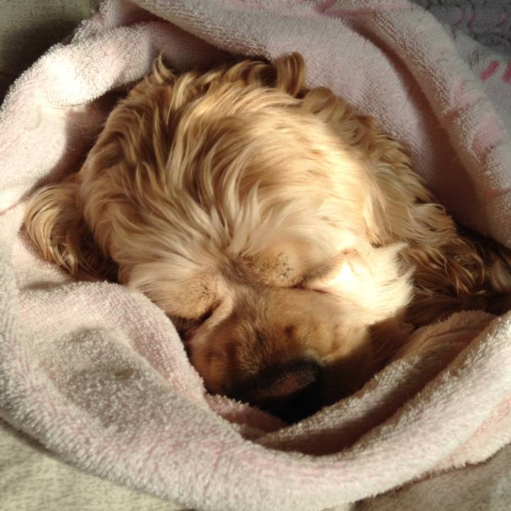 99c26b84 f9f9 4fbc ba9f 7ecc890566b1