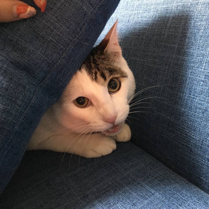 99c297f8 8316 4bb3 8579 d0b4075cbac3