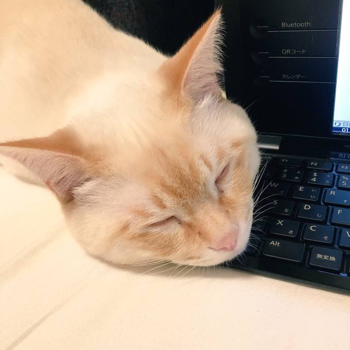 99c2a076 cdb2 4aed 8280 141a00b7154a