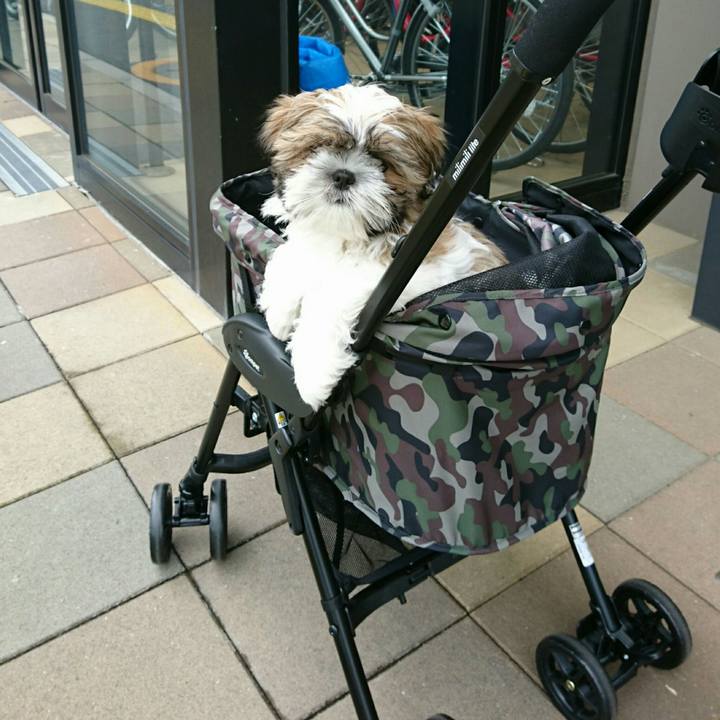 99c2cebb 5e5e 43e0 bc69 6be4b0276668