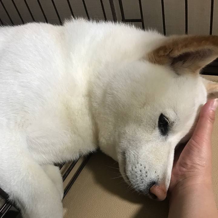 99c32014 2ca3 41f5 b0bf 9cab63e8659e