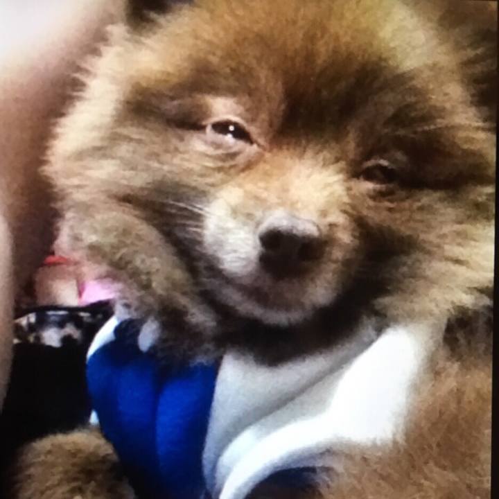 99c3241b 8da2 40f4 9c34 079013e196f7