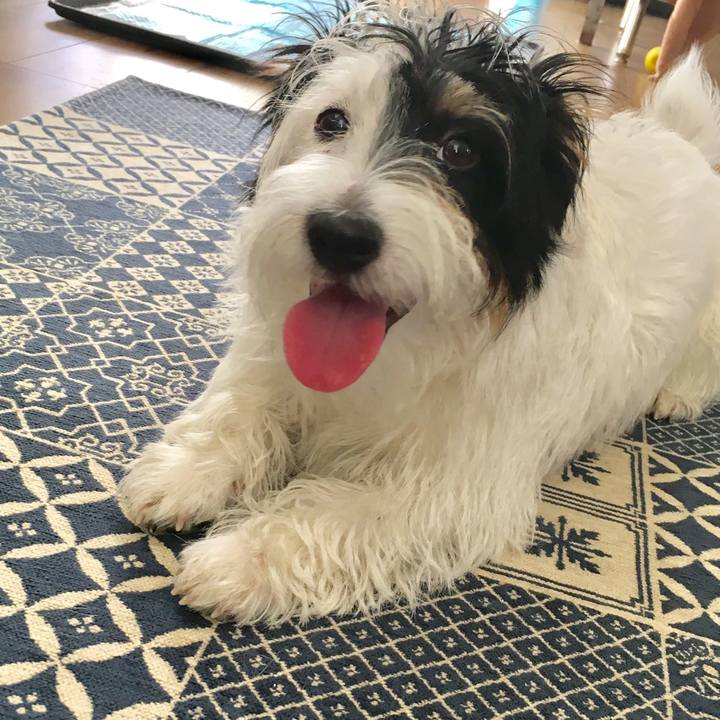 99c34204 9406 421c a32e b6c11e2486be