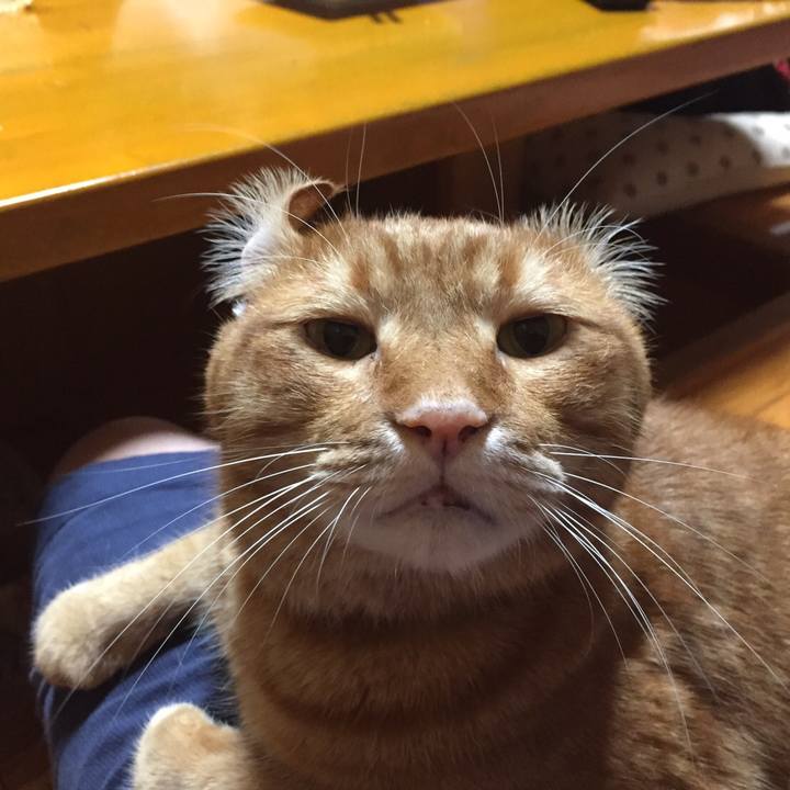 99c3718f 2a87 4991 baaa c9ca8281740e