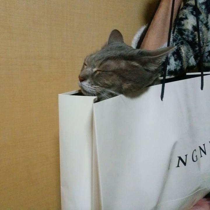 99c3bf16 8cfd 410c 96d3 25e2f59c9f1f