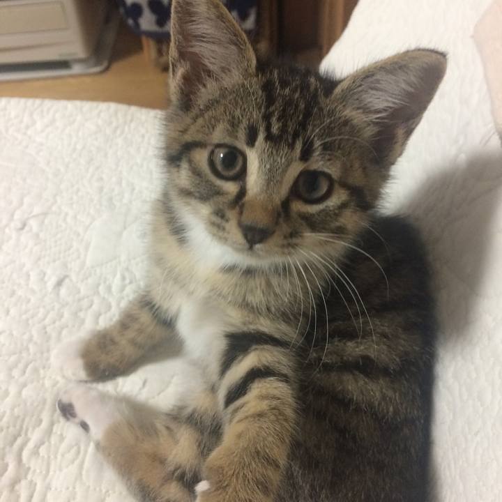 99c4a031 531c 4ed0 8cf7 e9384a01a92b