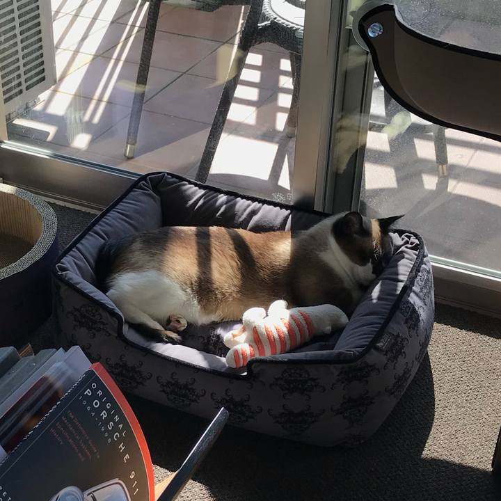 99c4b943 b018 48a5 99d8 c3803105fc37