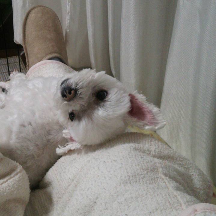 99c55f65 adfe 4eda 8c3e 907d91b825d7