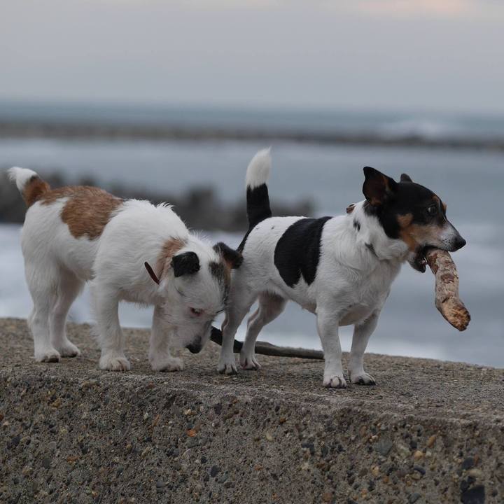 99c57ba4 d606 44f1 804a 73ec4f73a0ef