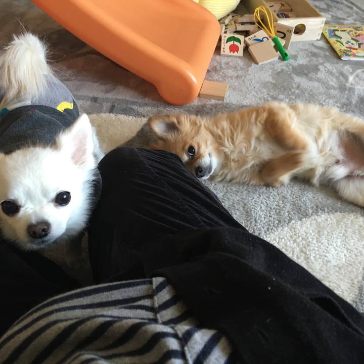 99c60e3d e931 4e72 b0b6 099cf30bdd9f