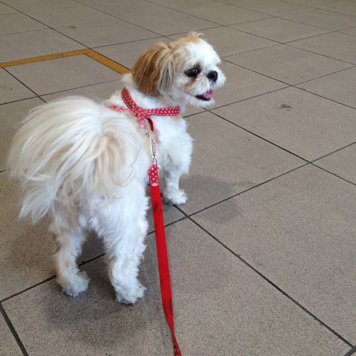 99c61888 e8df 42ab 9312 f863d53df5d4