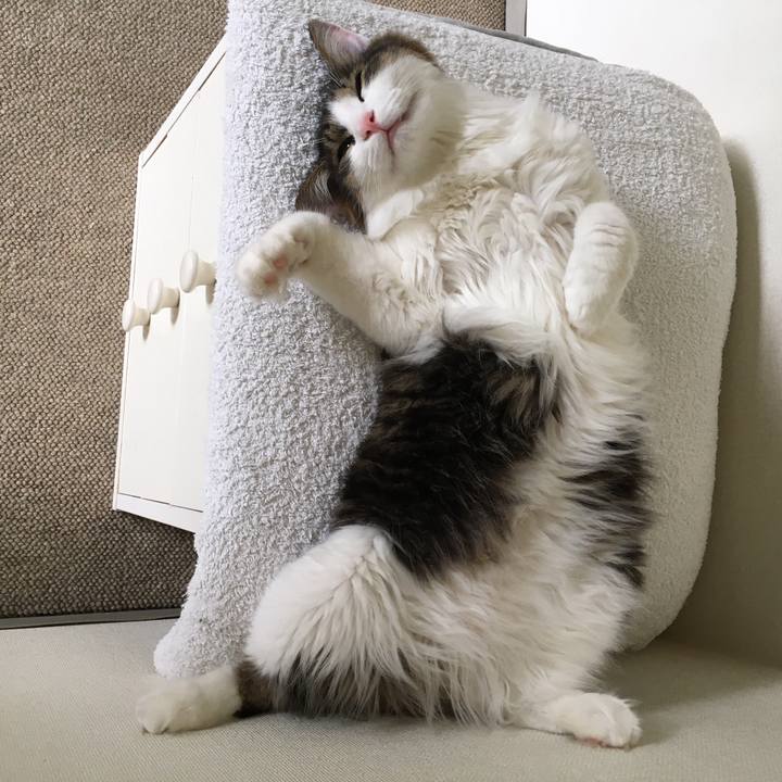 99c68d78 54aa 4eb5 9a0b 260810f773b6