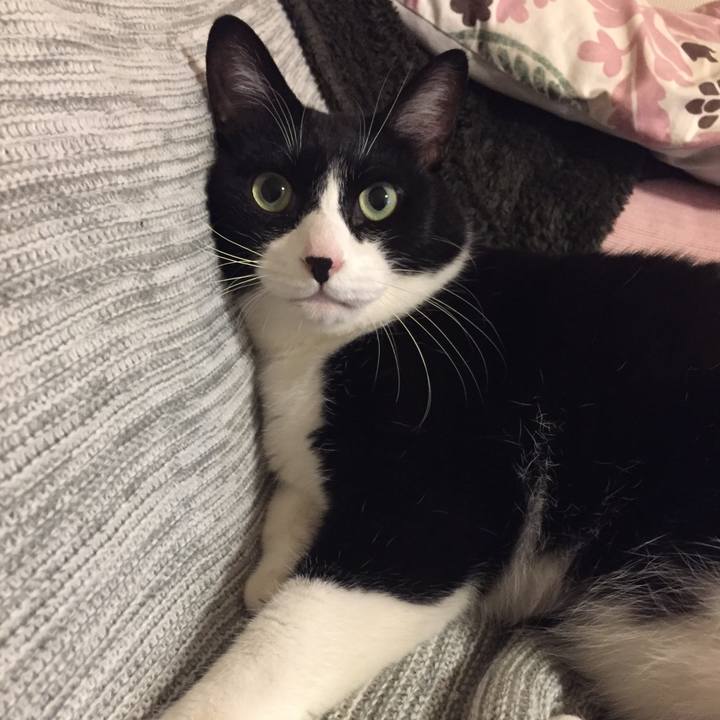 99c6a9bb 0673 48b9 afcc ba786b1a7dc3