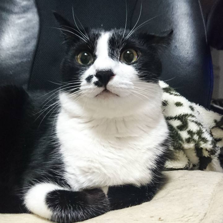 99c6f8f2 ef0b 4876 ae09 ddf4a01e7f34