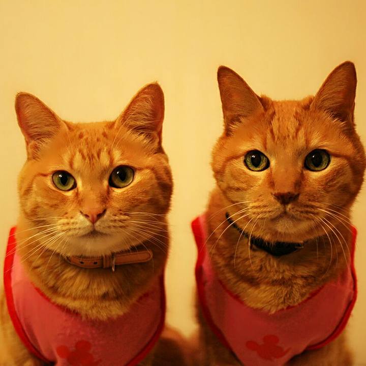 99c7ec9f 32a4 4419 95a7 d9ddeb21e2c5