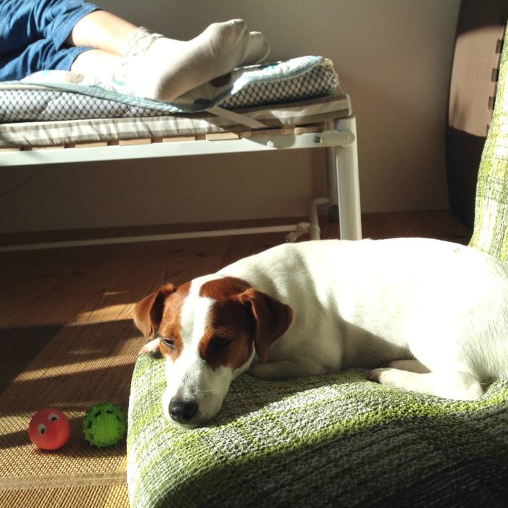 99c861f3 5162 4e0e 884b ef52dd90a9c8