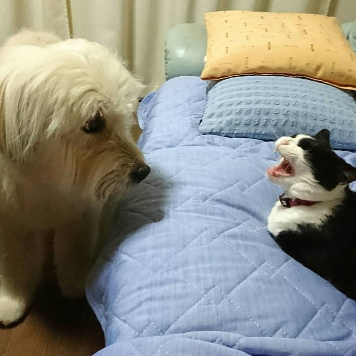 99c8dfda 3075 4313 8c40 e183dfc3aec6