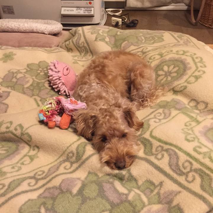 99c9b978 86bc 4f84 a478 fec1b5d33aa8