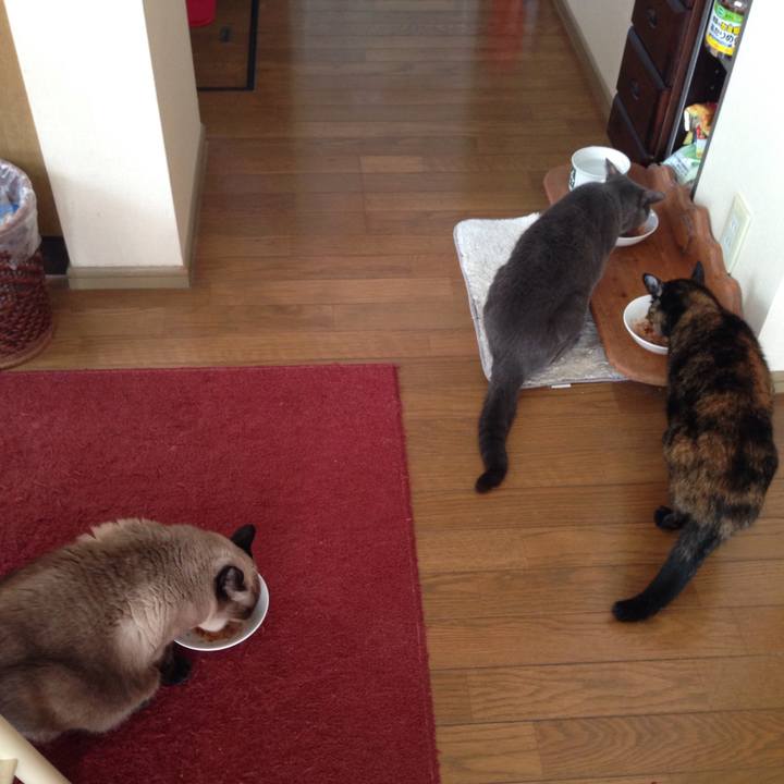 99c9ccb7 3d34 4b8e bc7b 780cde1f356d